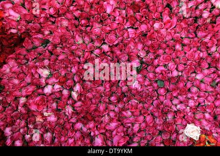 Manila, Philippinen. 13. Februar 2014. Rosen zum Verkauf werden einen Tag vor Valentinstag auf dem Dangwa Blumenmarkt in Manila, Philippinen, 13. Februar 2014 gesehen. Viele Blumenhändler haben beginnt mit dem Verkauf von Blumen und Rosen aus Anlass des Valentins Day.Photo: Ezra Acayan/NurPhoto Credit: Ezra Acayan/NurPhoto/ZUMAPRESS.com/Alamy Live News Stockfoto