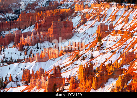 Winter-Sonnenaufgang in Bryce-Canyon-Nationalpark, Utah - USA Stockfoto