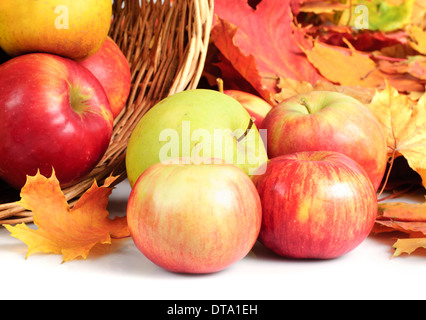 Apfel im Korb, Streuung auf weißem Hintergrund Stockfoto