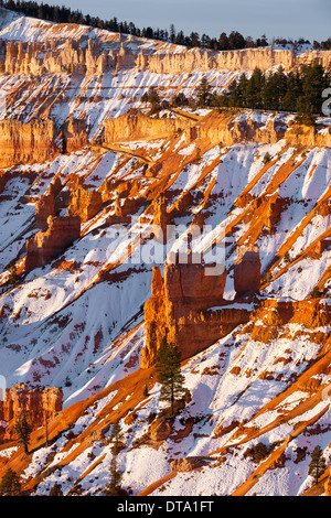 Winter-Sonnenaufgang in Bryce-Canyon-Nationalpark, Utah - USA Stockfoto