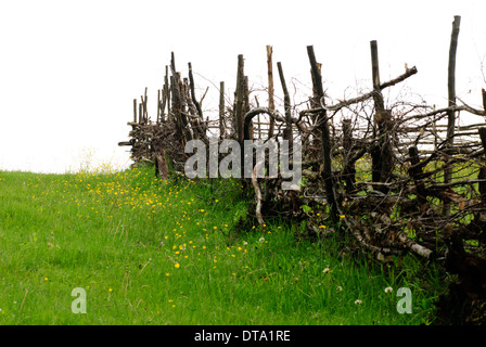 Ländliche Zaun im grünen Feld isoliert auf weiss Stockfoto