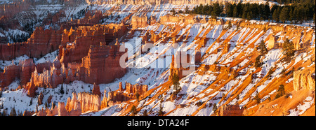 Winter-Sonnenaufgang in Bryce-Canyon-Nationalpark, Utah - USA Stockfoto