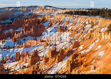 Winter im Bryce-Canyon-Nationalpark, Utah - USA Stockfoto