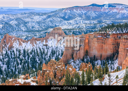 Winter im Bryce-Canyon-Nationalpark, Utah - USA Stockfoto