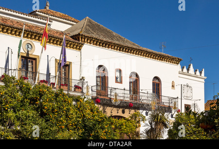 MARBELLA SPANIEN DIE ALTSTADT UND DAS RATHAUS IN ORANGE QUADRAT UMGEBEN VON ORANGENBÄUMEN IN DER WEIHNACHTSZEIT Stockfoto