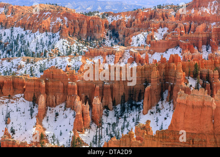 Winter im Bryce-Canyon-Nationalpark, Utah - USA Stockfoto