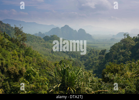 Berglandschaft, Khlong Sok Nationalpark, Ban Khao Ba, Phang Nga Provinz Surat Thani, Thailand Stockfoto