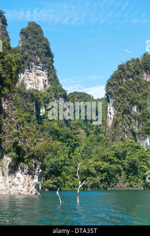 Bewaldeten Kalkstein Karstgebirge mit Vegetation des Dschungels steigt aus dem Wasser, Rachabrapha Reservoir, Chiao Lan See Stockfoto