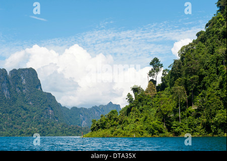 Bewaldeten Kalkstein Karstgebirge mit Vegetation des Dschungels steigt aus dem Wasser, Rachabrapha Reservoir, Chiao Lan See Stockfoto