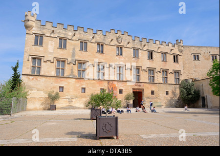 Musée du Petit Palais Museum, Avignon, Vaucluse, Provence-Alpes-Cote d ' Azur, Südfrankreich, Frankreich Stockfoto