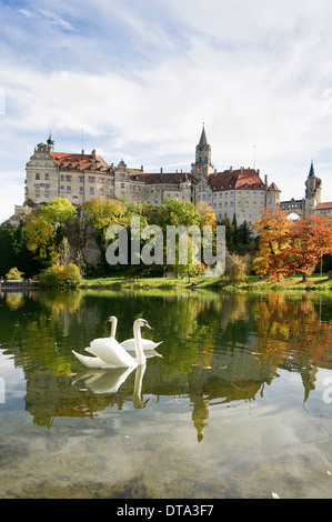 Schwäne vor Schloss Sigmaringen Schloss, Burg Hohenzollern, Sigmaringen, Baden-Württemberg, Deutschland Stockfoto