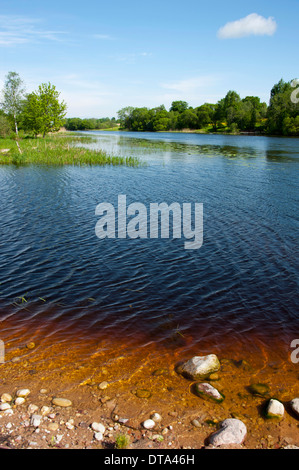 Emajogi Fluss, Kavastu, Landkreis Tartu, Estland, Baltikum Stockfoto