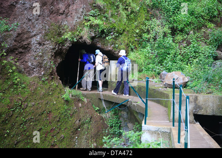 In einem Tunnel auf einer Levada-Wanderung auf Madeira, in der Nähe von Moinho, Ponto do Sol Stockfoto