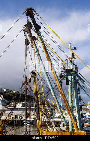 Brixham Angeln Flotte, Brixham, Torbay, alt, deck, Bogen, Kreuzfahrt, rau, niemand, Nautik, tropischen, weiß, Verfolgung, Reisen, Schiff Bo Stockfoto