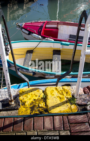 Brixham Angeln Flotte, Brixham, Torbay, alt, deck, Bogen, Kreuzfahrt, rau, niemand, Nautik, tropischen, weiß, Verfolgung, Reisen, Schiff Bo Stockfoto