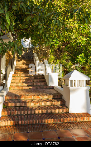 SPANISCHE TERRAKOTTA GEFLIESTE TREPPE Stockfoto