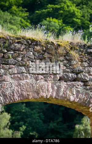 Kloster Buch, Ehemaliges Zisterzienserkloster Stockfoto