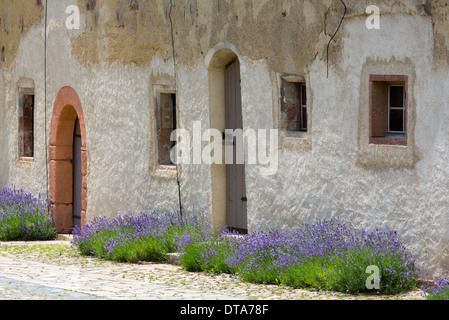 Kloster Buch, Ehemaliges Zisterzienserkloster Stockfoto