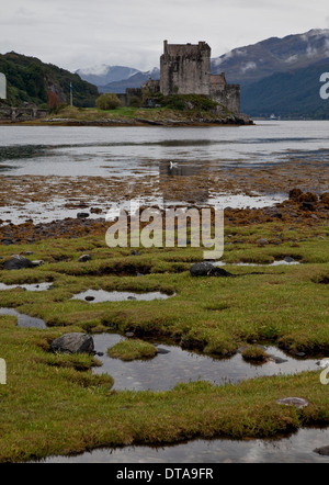 Eilean Donan Castle Bei Dornie, Wasserburg Im Loch Duich Stockfoto