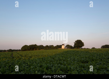 Krefeld-Traar, Mühle Auf Dem Egelsberg Stockfoto