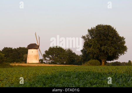 Krefeld-Traar, Mühle Auf Dem Egelsberg Stockfoto