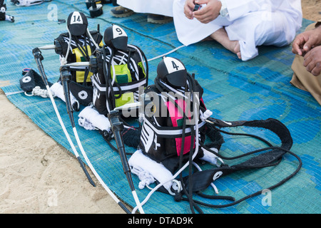 Entfernten robotergesteuerte Jockeys zum Verkauf bei Camel racing Club bei Al Marmoum außerhalb Dubai in Vereinigte Arabische Emirate Stockfoto