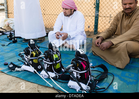 Entfernten robotergesteuerte Jockeys zum Verkauf bei Camel racing Club bei Al Marmoum außerhalb Dubai in Vereinigte Arabische Emirate Stockfoto