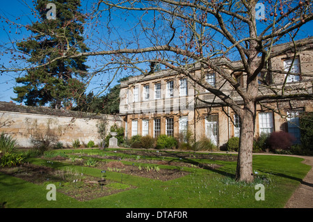 Oxford Botanischer Garten, im Winter mit Taschentuch / Taschentuchbaum (Davidia Involucrata Vilmorinana). VEREINIGTES KÖNIGREICH. Stockfoto