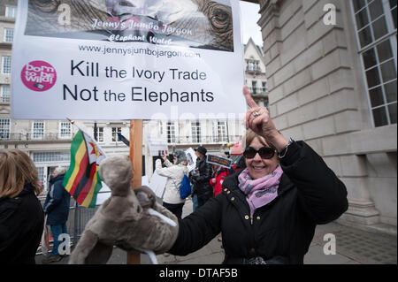 Pall Mall, London, UK. 13. Februar 2014. Aktion für Elefanten UK und Pflege der Natur gehalten eine Demonstration vor dem internationalen Gipfeltreffen der illegale Handel mit Wildtieren im Lancaster House, Zentrum von London. Der Gipfel ist bis heute auf höchstem Niveau der internationalen Führer betreut. Bildnachweis: Lee Thomas/Alamy Live-Nachrichten Stockfoto