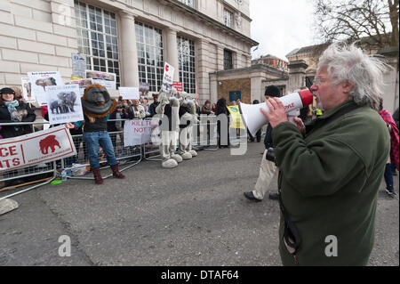 Pall Mall, London, UK. 13. Februar 2014. Aktion für Elefanten UK und Pflege für das Wild und Bill Oddie (im Bild) Demonstration eine außerhalb der internationalen illegalen Handel mit Wildtieren-Gipfel im Lancaster House, Zentrum von London. Der Gipfel ist bis heute auf höchstem Niveau der internationalen Führer betreut. Bildnachweis: Lee Thomas/Alamy Live-Nachrichten Stockfoto