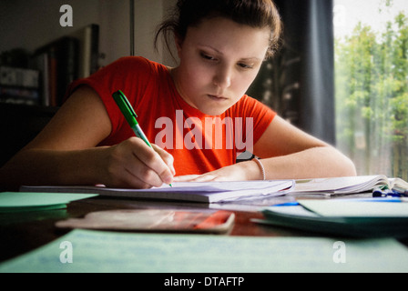 Student, der zu Hause studiert Stockfoto