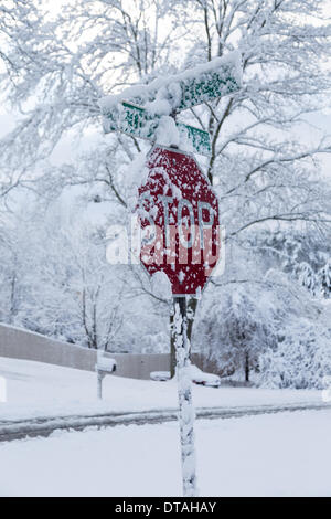 Harrison, Tennessee, USA.  13. Februar 2014. Starker Schneefall über Nacht Herbstlaub Verkehrszeichen schneebedeckt in Harrison, in der Nähe von Chattanooga, Tennessee, USA Credit: TDP Fotografie/Alamy Live News Stockfoto