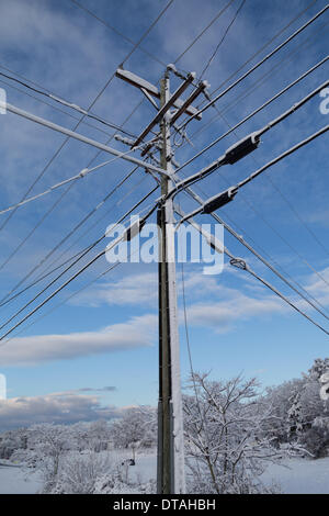 Harrison, Tennessee, USA.  13. Februar 2014. Starker Schneefall über Nacht Herbstlaub Versorgungsleitungen schneebedeckt in Harrison, in der Nähe von Chattanooga, Tennessee, USA Credit: TDP Fotografie/Alamy Live News Stockfoto