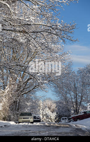 Harrison, Tennessee, USA.  13. Februar 2014. Starker Schneefall über Nacht Herbstlaub Nachbarschaften schneebedeckt in Harrison, in der Nähe von Chattanooga, Tennessee, USA Credit: TDP Fotografie/Alamy Live News Stockfoto