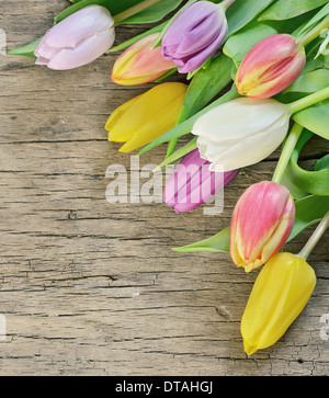 Strauß Bunte Tulpen über rustikal aus Holz Stockfoto
