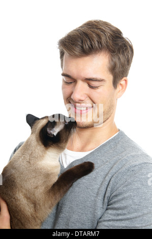 junger Betrieb siamesische Katze Stockfoto