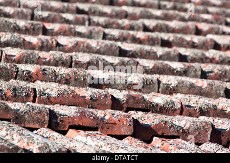 Ton Dachziegel in Flechten bedeckt gebacken Stockfoto