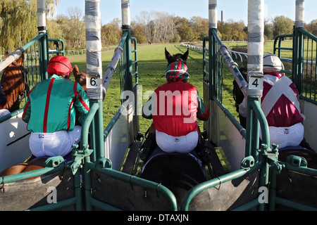 Halle, Deutschland, Pferde und jockeys zu Jahresbeginn ein Pferderennen Stockfoto