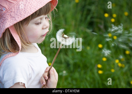 Mädchen bläst Löwenzahn Blume, Nahaufnahme Stockfoto