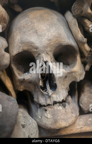 Menschlicher Schädel eingebettet zwischen verschiedenen Knochen, Nahaufnahme Stockfoto