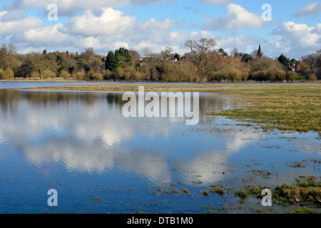 Flut Wasser auf den Strandwiesen, die Bestandteil der Überschwemmungsgebiet des Flusses Itchen bei Shawford, südlich von Winchester, Hants Stockfoto