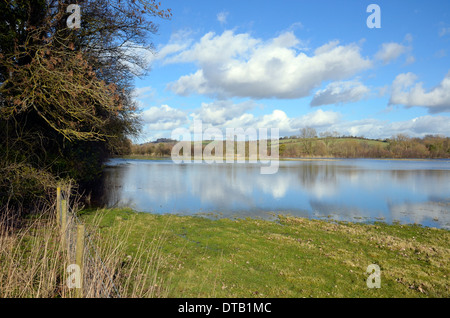 Flut Wasser auf den Strandwiesen, die Bestandteil der Überschwemmungsgebiet des Flusses Itchen bei Shawford, südlich von Winchester, Hants Stockfoto