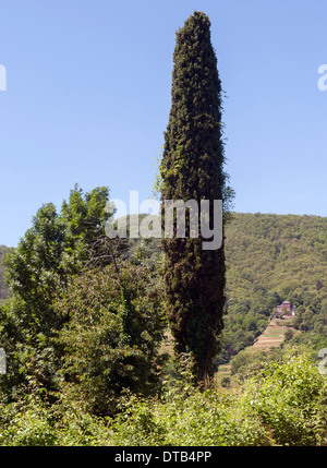 Borzonasca, Italien, Landschaft im regionalen Naturpark von Dell ' Aveto Stockfoto