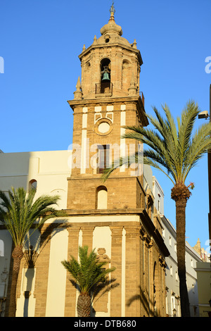 Bell Tower der Iglesia de Santiago Apostal, Plaza De La Catedral, Altstadt, Cádiz, Provinz Cádiz, Andalusien, Spanien Stockfoto