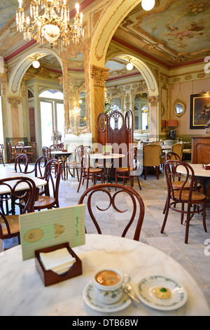 Innere des Cafe Royalty, Plaza Candelaria, Altstadt, Cádiz, Provinz Cádiz, Andalusien, Spanien Stockfoto