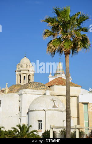 aus dem 16. Jahrhundert die Kirche Santa Cruz (alte Kathedrale), Old Town, Cádiz, Provinz Cádiz, Andalusien, Spanien Stockfoto