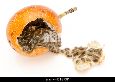 Granadilla. Eine Sub-topische Frucht in Südamerika gefunden. Dies ist eine Nahaufnahme Bild der Frucht auf einem weißen Hintergrund, zeigt die Stockfoto