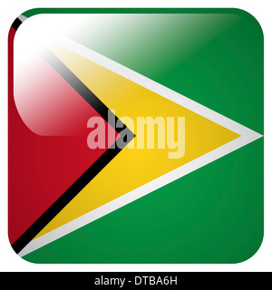 Glossy Icon mit Flagge von Guyana Stockfoto