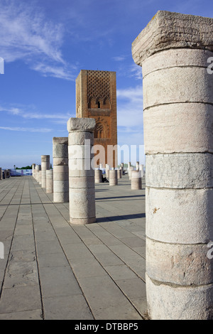 Hassan-Turm oder Tour Hassan ist das Minarett einer unvollständigen Moschee in Rabat, Marokko: 8. November 2013 Stockfoto