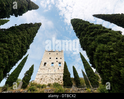 Arco, Italien, Castello di Arco - zerstörten Turm zwischen Zypressen Stockfoto